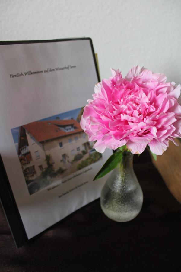 Winzerhof Senn Διαμέρισμα Vogtsburg Εξωτερικό φωτογραφία