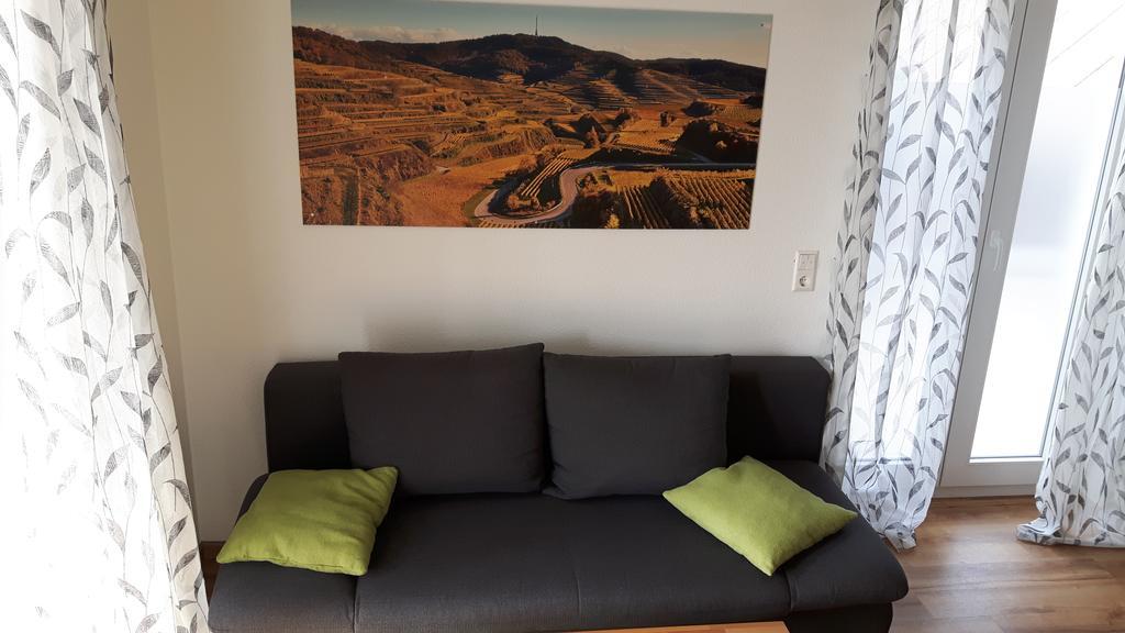 Winzerhof Senn Διαμέρισμα Vogtsburg Εξωτερικό φωτογραφία