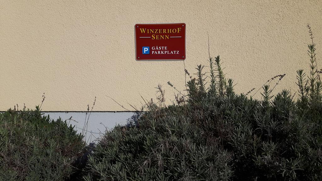 Winzerhof Senn Διαμέρισμα Vogtsburg Εξωτερικό φωτογραφία